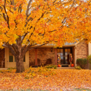 Pest Control, Johnston RI
