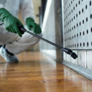 Pest Control, Johnston RI