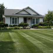 Pest Control, Johnston RI